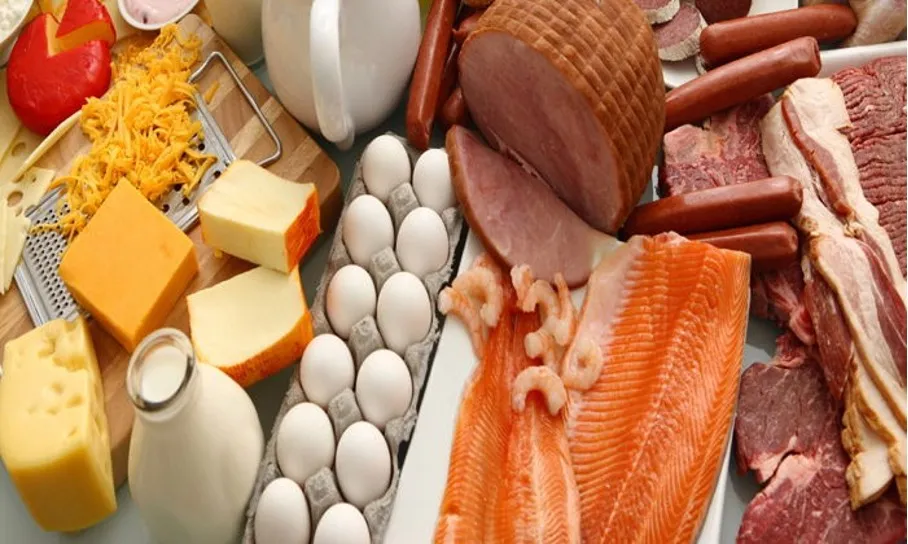 Yüksek Proteinli Diyetler Böbrek Hastalığının Riskini Artırabilir